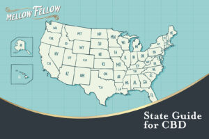 The Mellow Fellow logo and a map of the continental united states and Hawaii & Alaska for our CBD state guide.