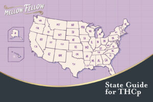 The Mellow Fellow logo and a map of the continental united states and Hawaii & Alaska for our THCp state guide.